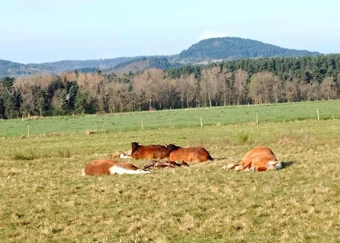 Σπίτι διακοπών Chez Brigitte, Un Sejour En Haute-loire